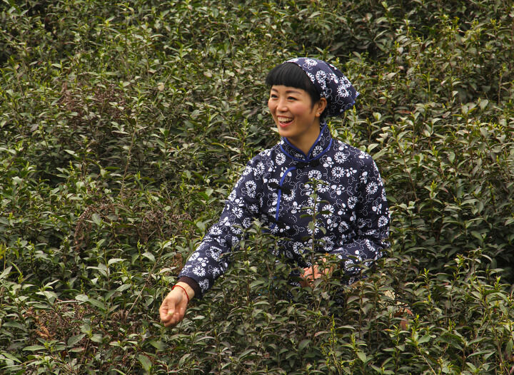 蛇蝎美人